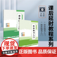 褚体楷书入门 欧体楷书入门 课后延时教程系列视频教学名家书写示范学生成人初学者临摹字帖 河南美术