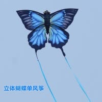 2019新款3D立体长尾蝴蝶儿童微风易飞初学者成型小号风筝创意 三维工匠 平面孔雀蝶配蓝轮300米线