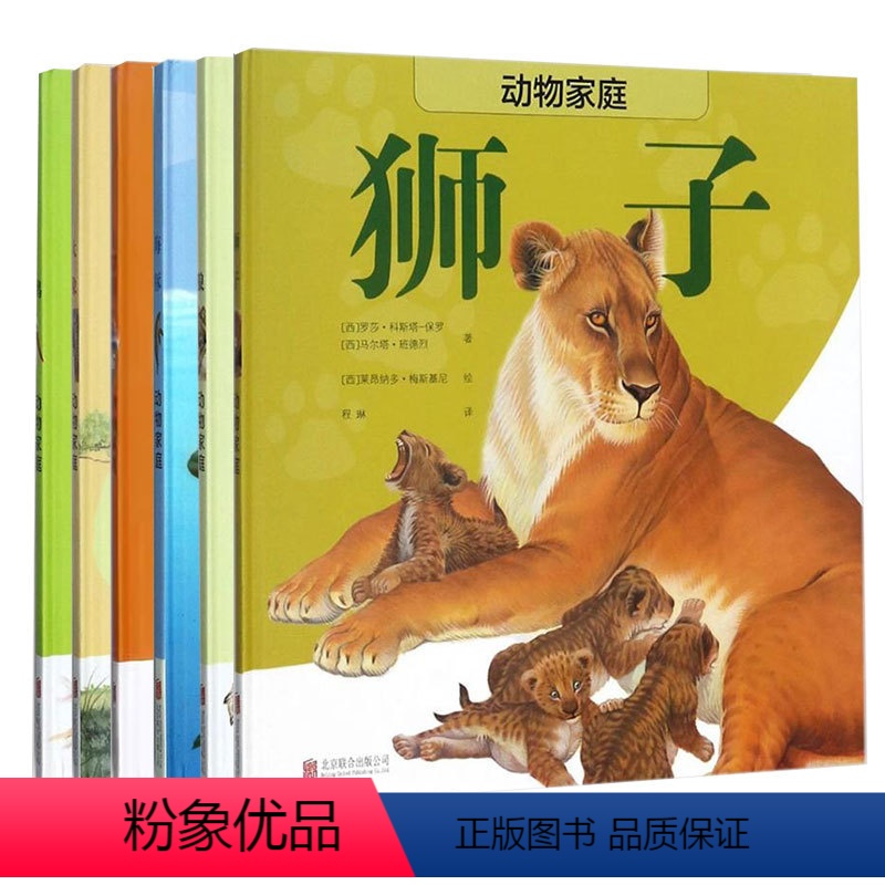动物家庭套装6册 [正版]店 动物家庭套系列:狼 大猩猩 狮子 海豚 鹳 大象 动物科普类读物 少儿6-9岁