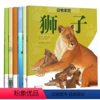 动物家庭套装6册 [正版]店 动物家庭套系列:狼 大猩猩 狮子 海豚 鹳 大象 动物科普类读物 少儿6-9岁