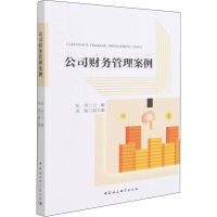 音像公司财务管理案例张烜
