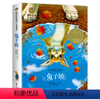 兔子坡 [正版]任意4本28元青鸟书国 际大奖儿童文学经典童话故事书 美绘典藏版小学生课外阅读物必读少儿童书籍二三四五六
