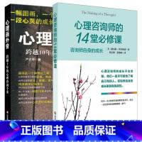 [正版]全2册 心理咨询师的14堂必修课+心理画外音:跨越10年的心理咨询个案 心理学入门基础咨询书籍心理疏导书心理学