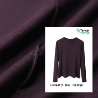 莱赛尔天丝羊毛长袖T恤女显瘦上衣新款秋季内搭鱼骨线打底衫