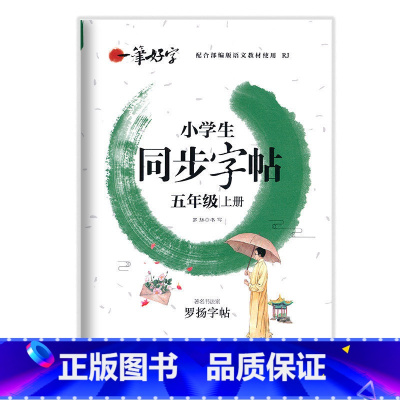 五年级上册 小学通用 [正版]小学生练字帖同步字帖人教版语文一 二 三年级 四年级 五 六 国一上册下册罗扬字帖每日一练