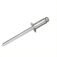 志浪 铝沉头拉铆钉5*25 个