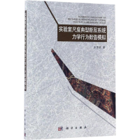 音像实验室尺度典型断层系统力学行为数值模拟王学滨 著