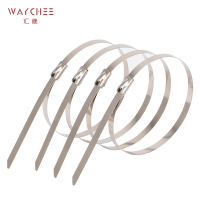 汇继 不锈钢扎带 4.6*1200mm/个