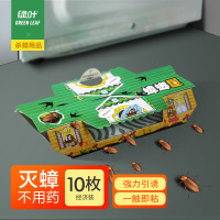 绿叶蟑螂屋10枚/盒 强效家用蟑螂屋贴强力粘板小强恢恢诱饵