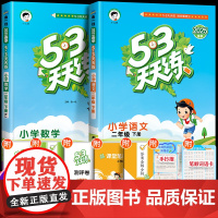 2025新53天天练二年级下册同步练习册全套语文数学下册人教版苏教小学2上同步训练试卷5+3五三5.3课本教材课堂练习题