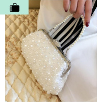 2019新款珍珠包包晚宴包手拿包蕾丝女包单肩斜跨小包包NEW LAKE女手包