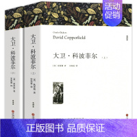 大卫科波菲尔 [正版]上下2册带注释附插图 悲惨世界 雨果著 原著完整版无删减全译本 成人版初中生高中生课外书阅读课外阅