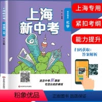 [正版]上海新中考综合测试 化学 初一初二初三九年级适用华东师范大学出版社上海中考精选真题中考化学强化训练辅导书籍