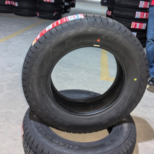 朝阳 雪地胎750R16LT 条