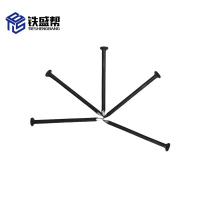 铁盛帮 铁钉80 件