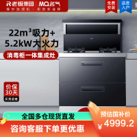 名气集成灶消毒柜一体式烟灶消一体机全腔120L二星级消毒柜大吸力套装5.2kW猛火爆炒 FX9A08 天然气