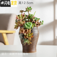三维工匠创意个性多肉陶瓷花盆多肉拼盘多孔多洞高款老桩法师陶瓷花器绿植 洞洞盆HZ29 大花盆容器