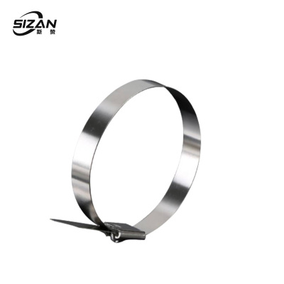 斯赞 304不锈钢扎带自锁式捆绑扎带 19*500mm 根