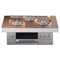 日本原装进口RINNAI/林内燃气灶嵌入式烤箱灶DELICIA香槟金色RHS71W31E12RCASTW-13A 天然气