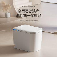 小户型智能马桶一体式全自动翻盖小尺寸无水压限制地排座便器