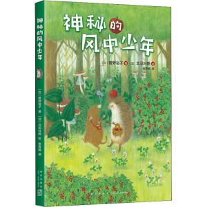 醉染图书神秘的风中少年9787513332439