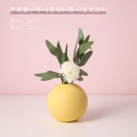 北欧ins圆形花瓶陶瓷摆件客厅餐桌插花莫兰迪家居干花装饰品摆设 三维工匠 白色小号+1支松针菊3支尤加利[套装价]