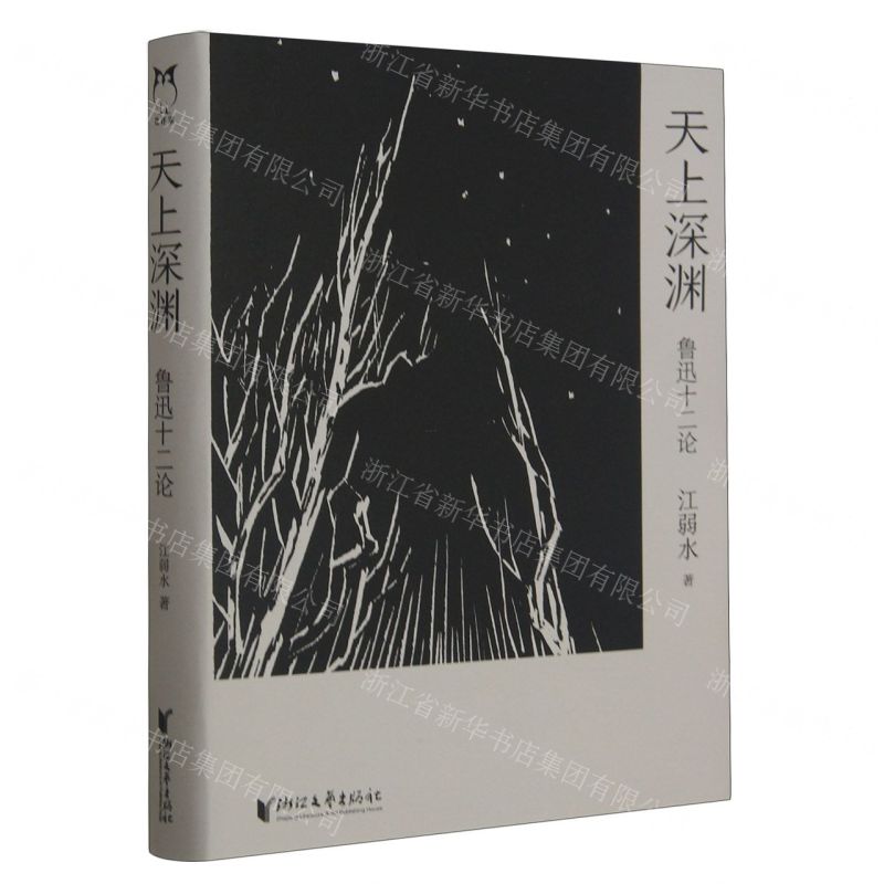 [N]天上深渊(鲁迅十二论)(精)-9787533972974