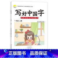 一年级上册 小学通用 [正版]抖音同款小学生写好中国字一年级二年级上册下册三年级四年级五年级六年级语文同步字帖人教版正楷
