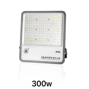 世纪亚明(揽月系列)泛光灯 ZY70c-R 个