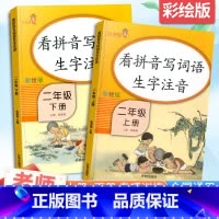 [2本套]看拼音写词语生字注音 2上+2下 小学二年级 [正版]新版拼音字词训练本看拼音写词语二年级上册下册字帖生字注音