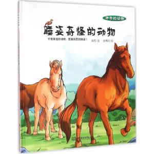 正版新书]睡姿奇怪的动物高霞9787568215923