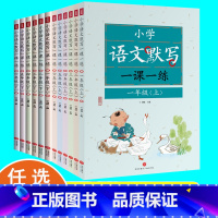 小学语文一课一练 小学一年级 [正版]小学语文默写一课一练1-6年级上下册 一二三四五六年级上册下册练字帖暑假衔接学霸笔