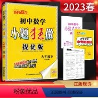数学 九年级下 [正版]江苏版2023春恩波教育小题狂做提优版初中数学九年级下册 苏科版SK 初三9年级数学九下苏教版中