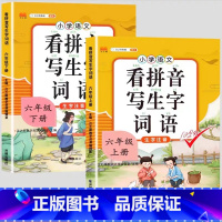 [2本]看拼音写词语上册+下册 四年级上 [正版]看拼音写词语一年级二年级三四五六年级上册语文人教版小学生注音生字拼音拼