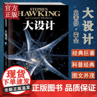 大设计霍金正版 时间简史作者霍金 全新著作果壳中的宇宙 阐释宇宙起源问题 继爱因斯坦以来杰出的理论物理学家 科普读物