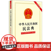 中华人民共和国民法典 含新司法解释关联对照、新旧对照 专业实务版中国法制出版社 编WX