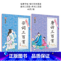 唐诗宋词三百首楷行双体临摹2本套装 [正版]楷书字帖练字成年男女生字体漂亮凹槽练字帖反复实用大学生高中生古诗词临摹练字帖