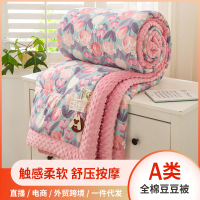 A类全棉豆豆被可机洗纯棉豆豆绒冬被春秋被学生单双人被子被芯