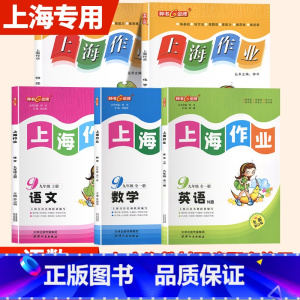语数英物化上册[5本] 九年级/初中三年级 [正版]2024钟书金牌上海作业九年级上语文 9年级上册/第一学期上海初中教
