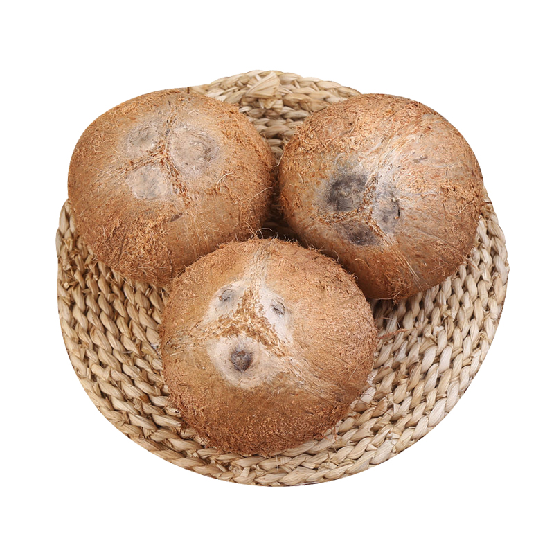 海南老毛椰子 2个装 热带新鲜水果毛椰子椰皇 陈小四水果