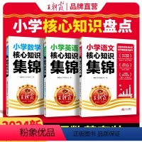 24新版❤[语数英全套]核心知识集锦 小学通用 [正版]小学核心知识集锦语文数学英语知识大盘点一年级二年级三四五六年级知