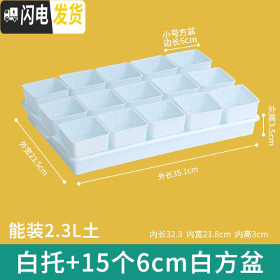 三维工匠美莳控根多肉花盆塑料套装组合创意透气肉肉控型盆器带托盘小花盆 白托+15个白盆(6cm盆) 小花盆容器
