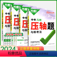 [几何+函数+物理+化学]4本套装 初中通用 [正版]2024数学压轴题物理化学函数几何辅助线 七八九年级初二初三真题模