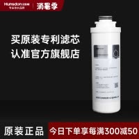 汉斯顿/Hunsdon滤芯 旋拧式300G长效反渗透RO膜