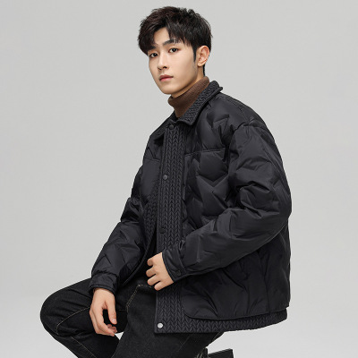 男装简约轻奢新款秋冬季鸭绒时尚翻领保暖宽松轻薄羽绒服男士外套