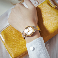 正品瑞士嘉年华CARNIVAL手表女士石英表 女表防水复古时尚潮流简约小巧个性精钢日历款品牌女表508L