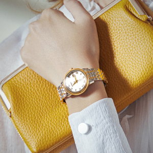 正品瑞士嘉年华CARNIVAL手表女士石英表 女表防水复古时尚潮流简约小巧个性精钢日历款品牌女表508L