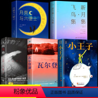 [全5册]世界经典文学名著合集 [正版]小王子+月亮与六便士+瓦尔登湖+新月集飞鸟集+人间失格 世界经典文学名著5册原著