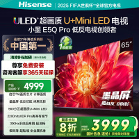 海信小墨E5Q Pro 65英寸超画质U+MiniLED墨晶屏 电视机E5NPRO升级