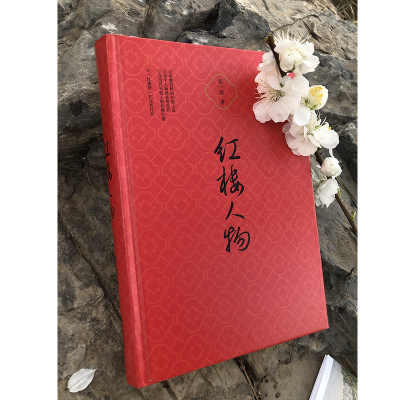 红楼人物(北大“人气”老师张一南与当代年轻人轻松聊红楼)